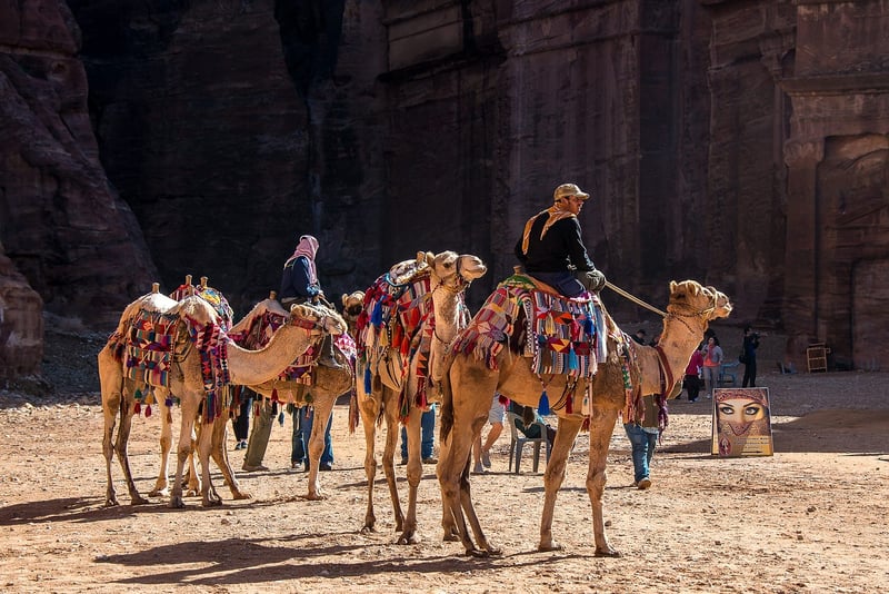 Cultural Heritage Exploration